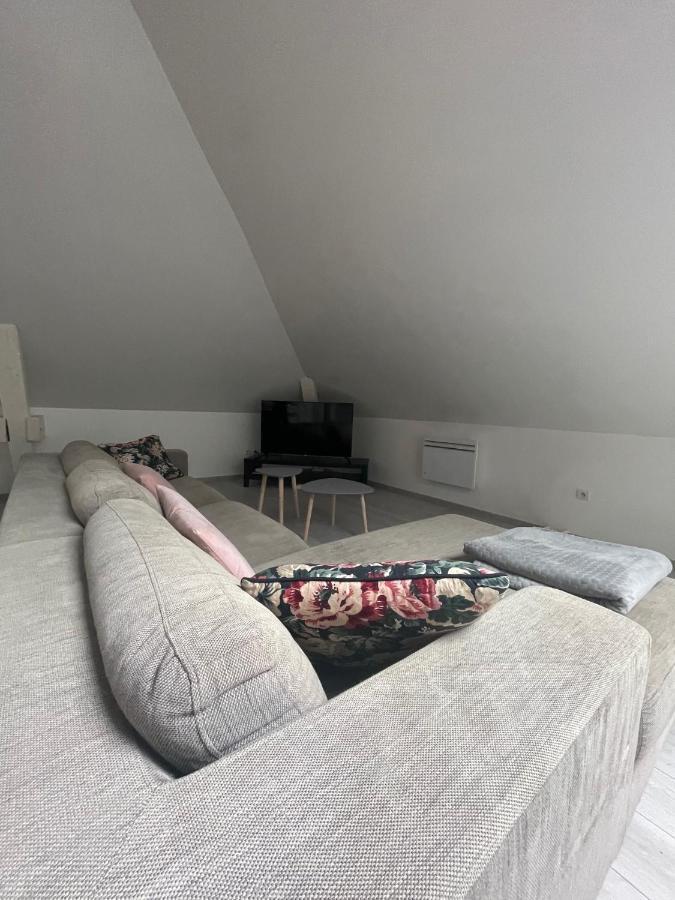 Dream Loft Apartment Колмар Екстериор снимка